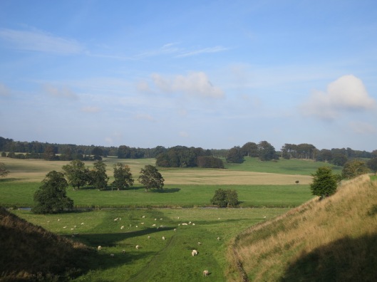 Countryside Surrounding Alnwick